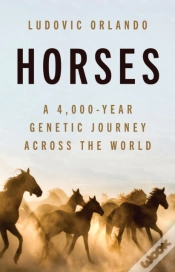 Capa do artigo Horses
