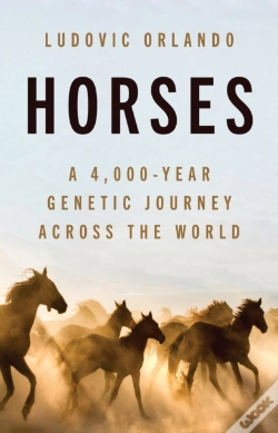 Capa do artigo Horses