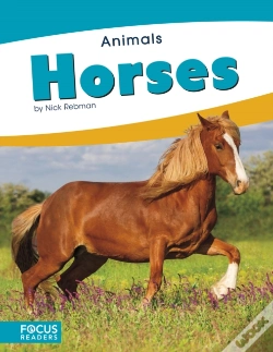 Capa do artigo Horses