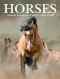 Horses - Preview