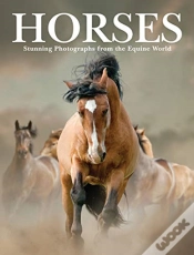 Capa do artigo Horses