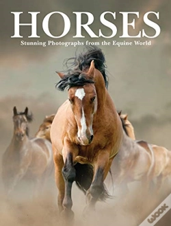 Capa do artigo Horses