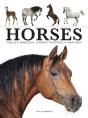 Horses - Preview