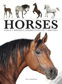 Capa do artigo Horses