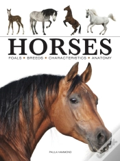 Capa do artigo Horses
