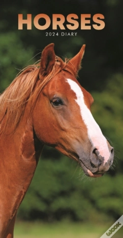 Capa do artigo Horses Slim Diary 2024