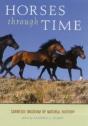 Horses Through Time - Preview