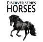 Horses - Preview