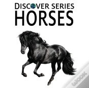 Capa do artigo Horses