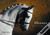 Capa do artigo Horses