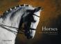 Horses - Preview