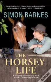 Capa do artigo Horsey Life