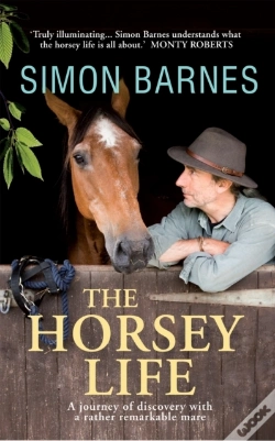 Capa do artigo Horsey Life