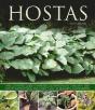 Hostas - Preview