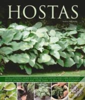 Capa do artigo Hostas