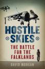 Hostile Skies - Preview