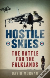 Capa do artigo Hostile Skies
