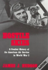 Hostile Skies