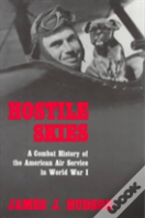 Hostile Skies