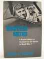 Hostile Skies - Preview
