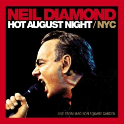 Capa do artigo Hot August Night NYC - Vinil