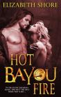 Hot Bayou Fire - Preview