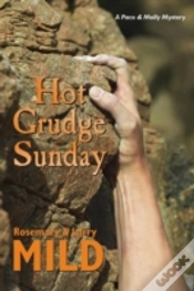 Capa do artigo Hot Grudge Sunday