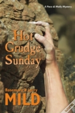 Capa do artigo Hot Grudge Sunday