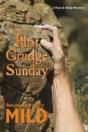 Hot Grudge Sunday - Preview