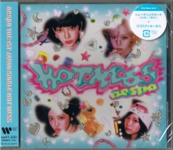 Capa do artigo Hot Mess - CD