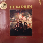 Capa do artigo Hot Motion - Vinil
