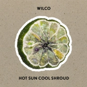 Capa do artigo Hot Sun Cool Shroud - Vinil