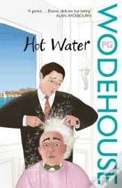 Capa do artigo Hot Water