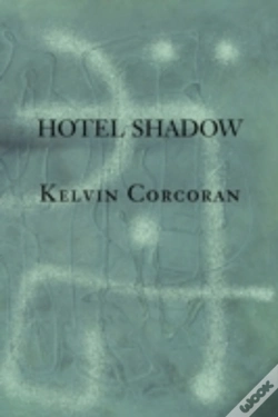 Capa do artigo Hotel Shadow