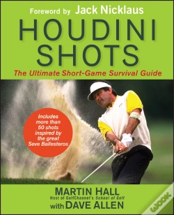 Capa do artigo Houdini Shots