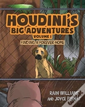 Houdini'S Big Adventures