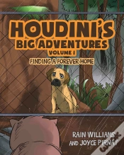 Capa do artigo Houdini