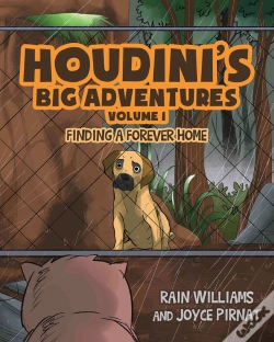 Capa do artigo Houdini'S Big Adventures