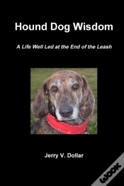 Capa do artigo Hound Dog Wisdom