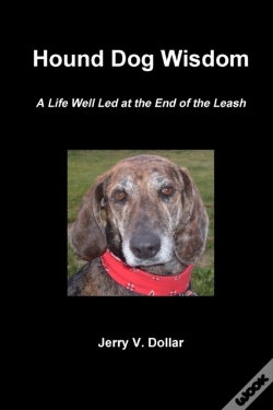 Capa do artigo Hound Dog Wisdom