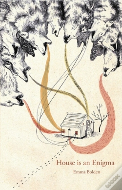 Capa do artigo House Is An Enigma