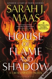 Capa do artigo House Of Flame And Shadow
