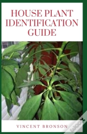 Capa do artigo House Plant Identification Guide