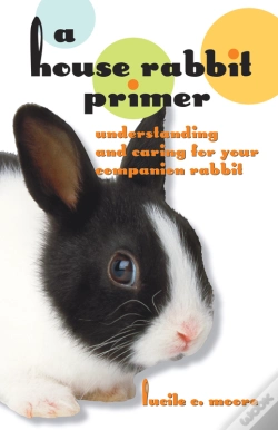 Capa do artigo House Rabbit Primer