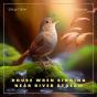 House Wren Singing Near River Stream - Preview
