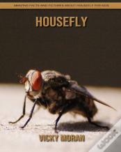 Housefly