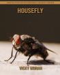 Housefly - Preview
