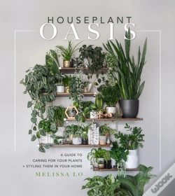 Capa do artigo Houseplant Oasis
