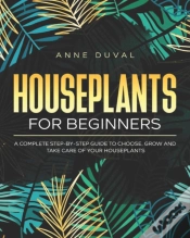 Capa do artigo Houseplants For Beginners
