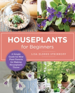Capa do artigo Houseplants For Beginners